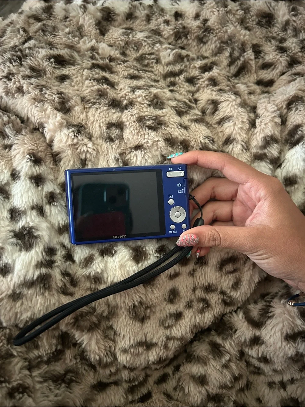 Sony Cyber-shot Compact Point-and-Shoot Camera in Blue with Accessories